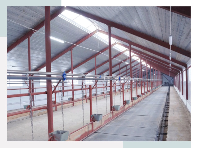 Строительство коровников в Краснокаменске от 613 руб.