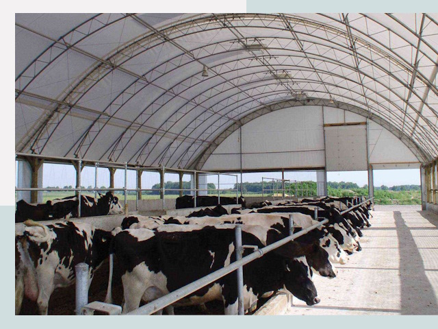 Тентовые коровники в Краснокаменске